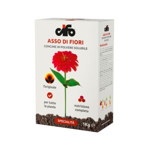 Asso di Fiori | Cifo 