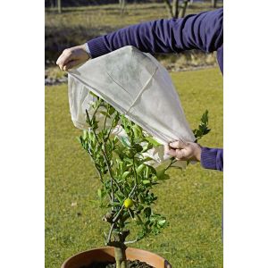 Cappuccio Protettivo per Piante | Verdemax 1,5x1,8 metri