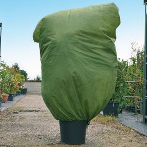 Cappuccio Protettivo per Piante | Verdemax 1,8x2 metri verde