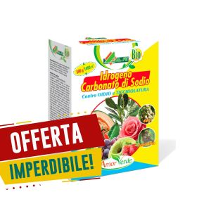 Carbonato di sodio idrogeno - Alfe 500 gr