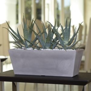 Cassetta Mysia Nicoli