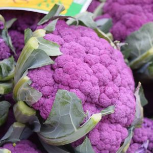 Cavolfiore Viola | ‎ Bestprato by Hortus