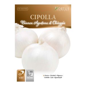 Cipolla Bianca Agostana di Chioggia | ‎ Bestprato by Hortus