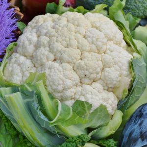 Cavolfiore Bianco | ‎ Bestprato by Hortus