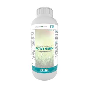 Active Green Bottos 1Kg