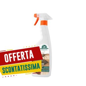 Disabituante Ragni e Scorpioni