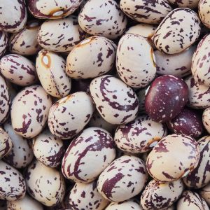 Fagiolo Borlotto Nano 250 gr | ‎ Bestprato by Hortus