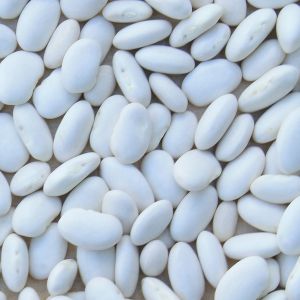 Fagiolo Cannellino Nano 250 gr | ‎ Bestprato by Hortus