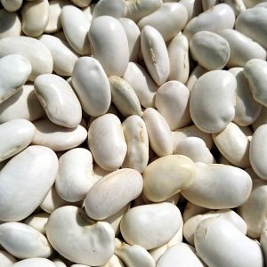 Fagiolo Slenderette Nano  250 gr | ‎ Bestprato by Hortus