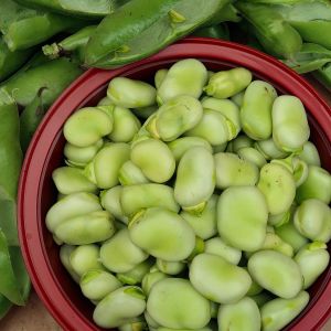 Fava Aguadulce Supersimonia | ‎ Bestprato by Hortus