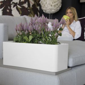 Fioriera a cassetta per vasi e piante Calypso