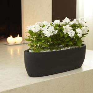 Fioriera Iris by Nicoili