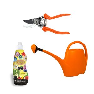 Kit Piante in Casa | Bestprato