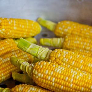 Mais da Pop Corn | ‎ Bestprato by Hortus