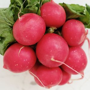 Ravanello Burro Gigante | ‎ Bestprato by Hortus