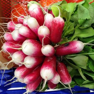 Ravanello Flamboyant 3 | ‎ Bestprato by Hortus