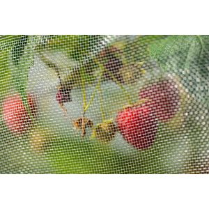 Rete Anti Insetti - 4 x 5 m | Stocker