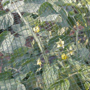 Rete Antigrandine Defender - 2 x 5 m | Tenax