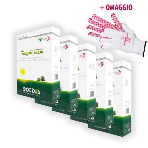 Royal Blue | Bottos -  5Kg + OMAGGIO