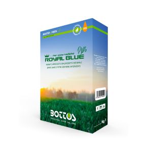 Sementi Royal Blue Plus Bottos - per prato soleggiato