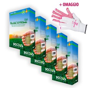 Royal Strong Plus | Bottos - 5Kg + OMAGGIO