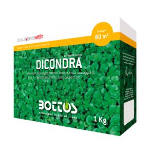 Dicondra | Bottos - 1kg