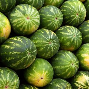 Anguria Crismon Sweet | ‎ Bestprato by Hortus