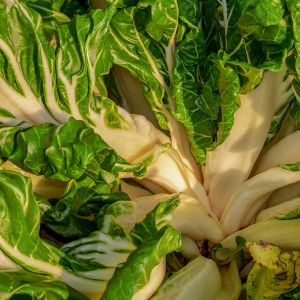 Bietola da Coste Verde a Costa Lunga Argentata 2 | ‎ Bestprato by Hortus