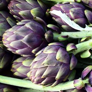 Carciofo Violet de Provence | ‎ Bestprato by Hortus