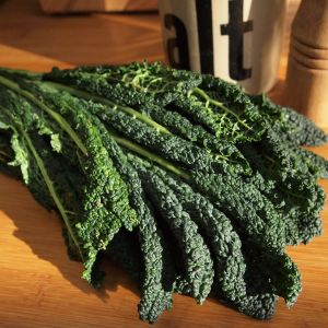 Cavolo Laciniato Nero di Toscana | ‎ Bestprato by Hortus