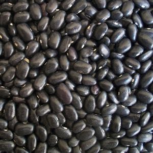 Fagiolo Rocquencourt Nano 250 gr | ‎ Bestprato by Hortus