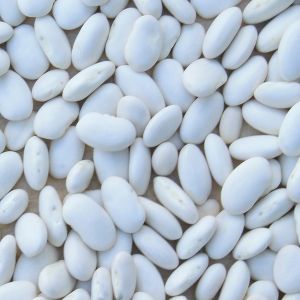 Fagiolo Marconi Nano 250 gr | ‎ Bestprato by Hortus