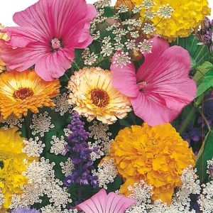 Miscuglio di Fiori Annuali | ‎ Bestprato by Hortus