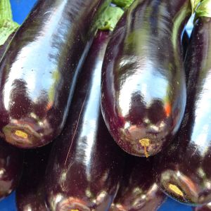 Melanzana Violetta Lunga 2 | ‎ Bestprato by Hortus