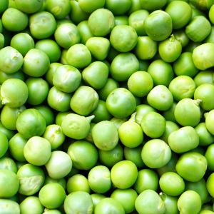 Pisello Progress n°9 250 gr | ‎ Bestprato by Hortus