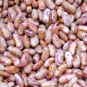 Fagiolo Borlotto Rampicante 250 gr | ‎ Bestprato by Hortus