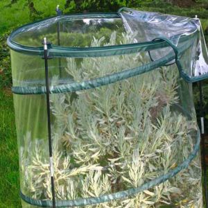 Serra Pop-Up Citrus Verdemax