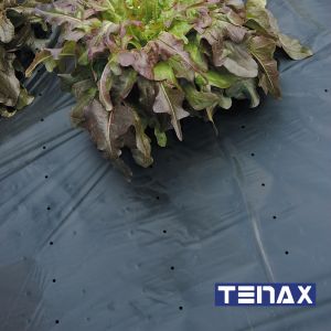 Telo Pacciamatura PRO Nero - 1,5 x 10 m | Tenax