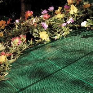 Telo Pacciamatura PRO Verde - 1,6 x 5 m | Tenax