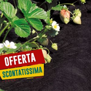 Telo per pacciamatura 