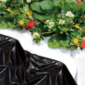 Telo Bianco Nero per Orto - 1,4 x 10 m | Tenax