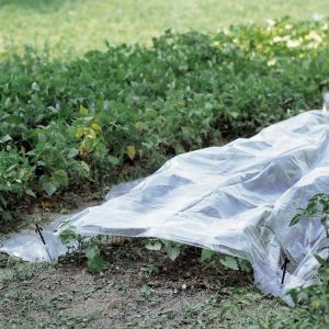 Telo per tunnel orto 2x5 m