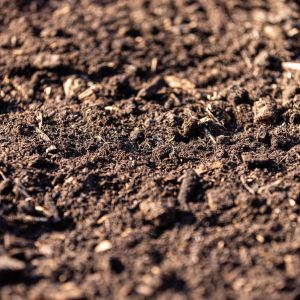 Terriccio Orto Sinergico CAMBIO - n.9 x 70 litri