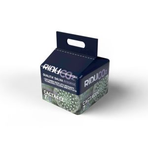 Terriccio per piante grasse