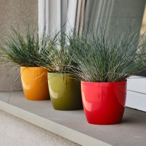 Vasi fiori in plastica colorati Madeira Teraplast