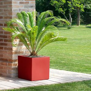 Vaso Schio Cubo Teraplast