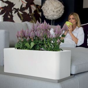 Cassetta design in resina Calypso Matt