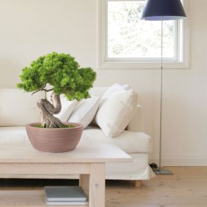 Ciotola in resina Thetis Elegance