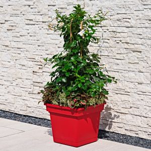 Vaso con sottovaso integrato Stil Teraplast