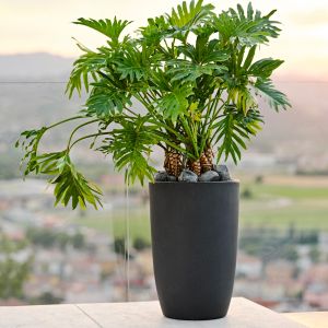 Vaso da esterno alto e stretto Meti Teraplast